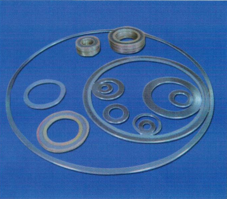 加強環形金屬纏繞墊片